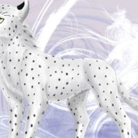 White Anime Cheetah