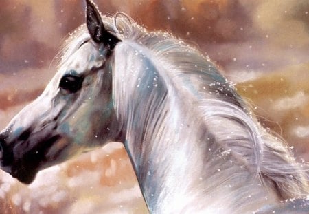 White Horse - horses, nature, animals, fantasy, white horse