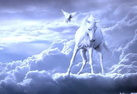 Watching From Above - clouds, fantasy, nature, horses, pegasus, white horse