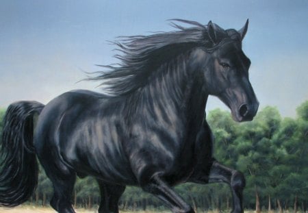 Black Horse - horses, nature, black horse, pets, meadow, stallions