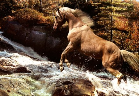 The Grace of Nature - pets, nature, wild horses, horses, mare, stallions, wildlife