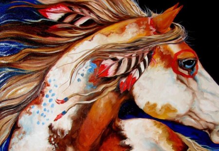 Native Horse - native horses, paint horse, nature, horses, ponies, wildlife