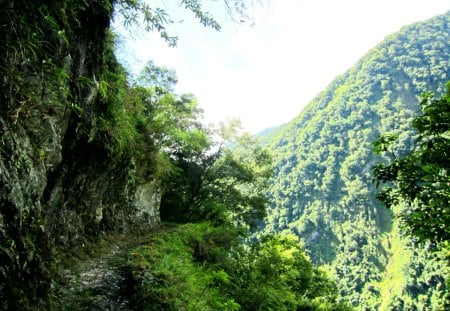 Mountain trail - lush, trail, shadow, mountain