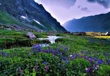 Landscape - blue, splendor, landscape, stream, grass, flowers, blue flowers, view, sky, clouds, water, beautiful, beauty, lovely, windflowers, river, nature, green, mountains, peaceful