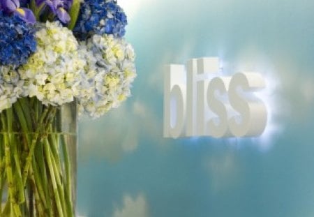 Destination to Blissâ™¥ - love, fashion, bouquet, entertainment, white, forever, floral, bliss, blue, arrangement, destination, happy