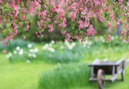 Twigs - hanging, flowers, cart, nature, twigs, grass