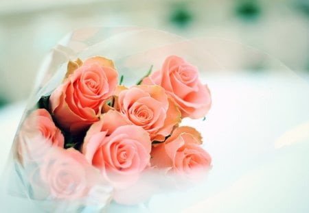 Bouquet of roses - roses, petals, flowers, bouquet, nature, bud