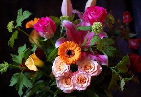 Pretty blooms - delicate, nature, beautiful, soft, lovely, flower, petals, bouquet