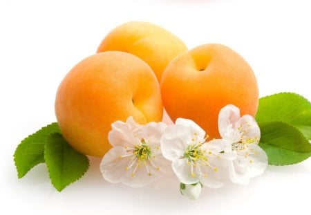 Apricot - flowers, apricot, food, orange, fruits, petals