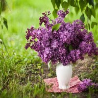 STILL LIFE IN THE GARDEN