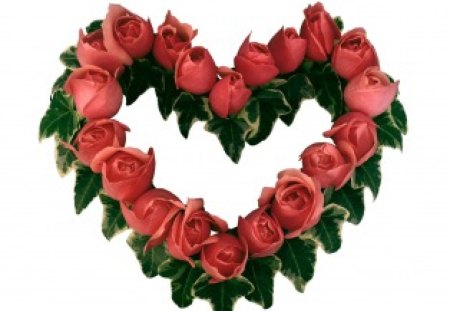 Heart of pink roses - lovely, heart, pink, rosrs