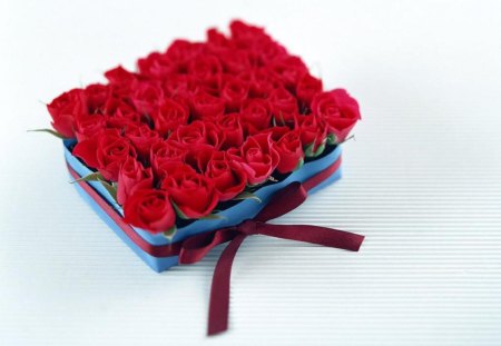 Box of Red Roses - gift, box, roses, red