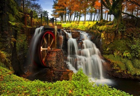 Watermill - autumn, trees, peaceful, water, stream, summer, mill, waterfall, nature, beautiful, leaves, grass, water mill