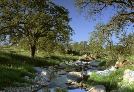 RIACHO - pedras, agua, rio, natureza, arvores