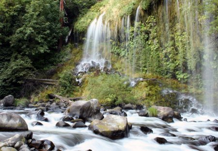 mosssbrae waterfall - river, trees, cascade, falls, rocks