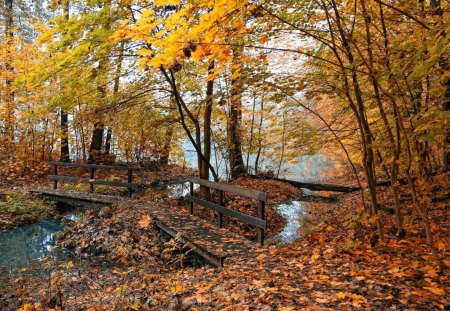 footbridge in autumn forest - autumn, bridhe, forest, creek