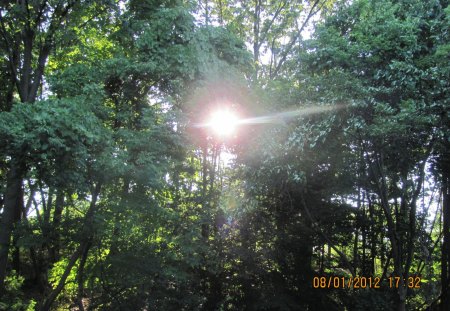 Sunset Tree - sun shining, sunny, tree, trees, sunset, sun