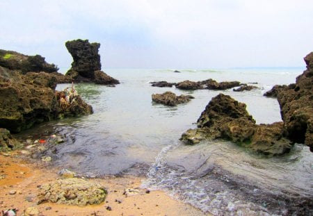 The  reefs and beach - the waves, reef, beach, rocks