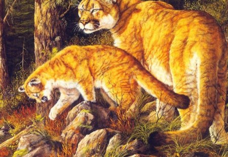 Puma with Cub - big cats, lions, leopard, cubs, jaguar, tiger, puma cubs, nature, puma, cats, animals, wildlife