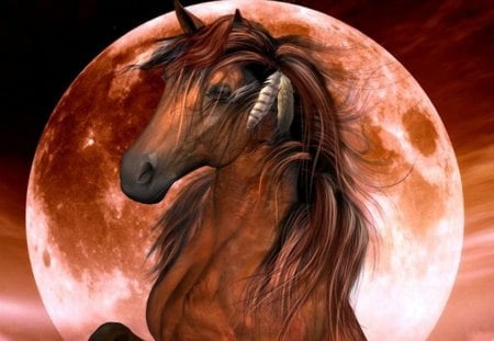 Moon Dancer - moon, native animals, ponies, feather, nature, horses, stallion, brown horses, wildlife