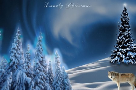 Lonely Christmas - grey wolf, nature, snow, lone wolf, tree, sky, animals, wildlife