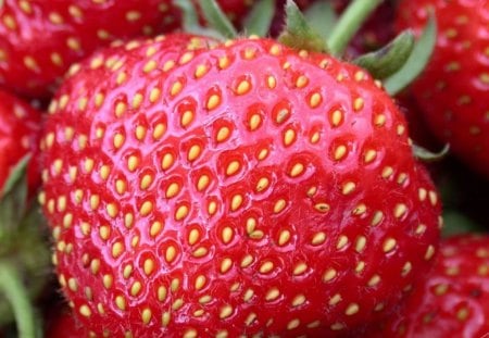 Yummy Strawberry - fresh, sweet, like, red