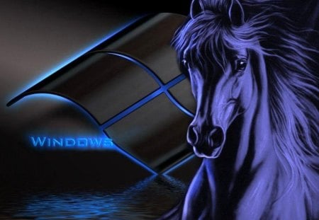 a horse wallpaper - animal, horse, windows logo, blue