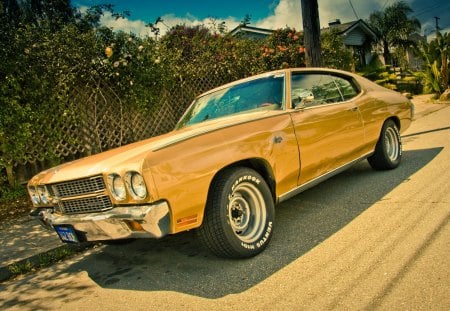 Chevrolet Chevelle - chevelle, chevrolet chevelle, muscle car, chevrolet