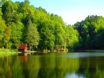 Lakeshore cabin