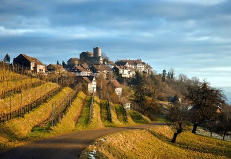 Vinyard on the Hill - village, plants, trees, houses