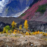 Mountain glacier