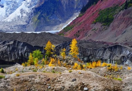 Mountain glacier - summer, beautiful, grass, mountain, stones, flowers, nature, glacier, rocks