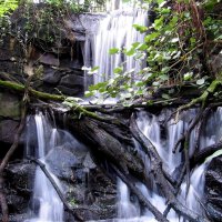 Waterfall in the Green