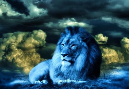 LION IN BLUE LIGHT - big cats, nature, cub, cats, lion, small cats, wildlife