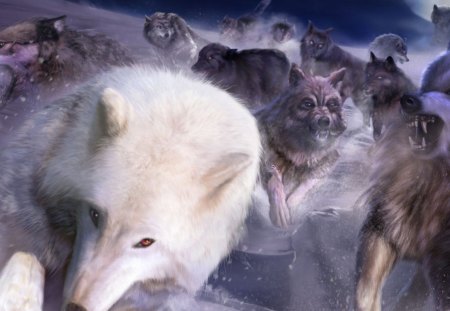 LEADER OF THE PACK - clouds, black wolf, pack, pup, white wolf, grey wolf, nature, dogs, animals, wildlife