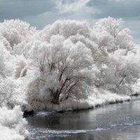 Frozen Lake In Norway