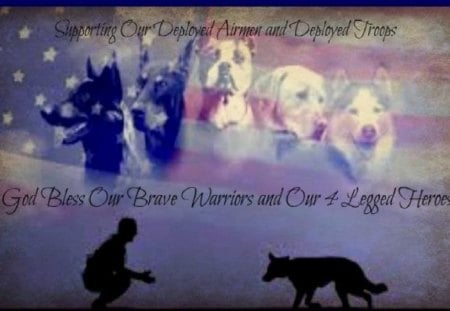 Our 4 legged Heroes - marines, usmc, marine corps, recon