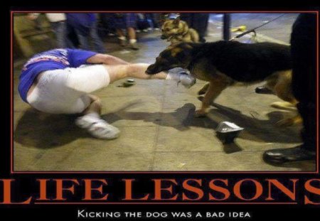 Never Ever Kick the Dog - marines, usmc, marine corps, recon