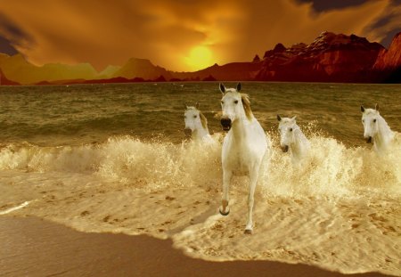 Free Me From The Sea - horses, sunset, fantasy, sea