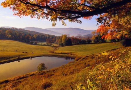 Autumn Landscape - forest, leaves, grass, nature, mountain, autumn, water, landscape, hills, daylight, sky, pond, clouds, trees, colors, day, green