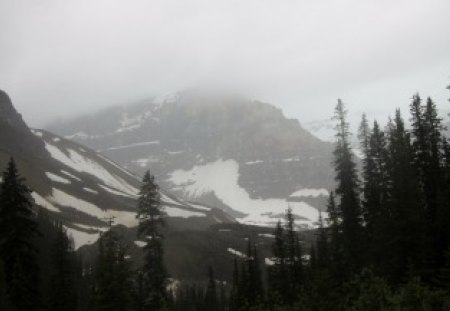 Snow on the mountains at Banff Alberta - mountains, photography, trees, snow, green