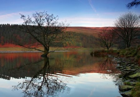 derwent-reservoir in autumn - nature, water, trees, reflection