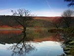 derwent-reservoir in autumn