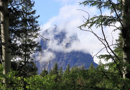 Early morning mist on the mountains - trees, green, photography, mist, mountains, fogs, Sky