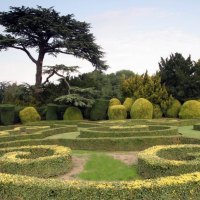 elvaston-gardens-trees