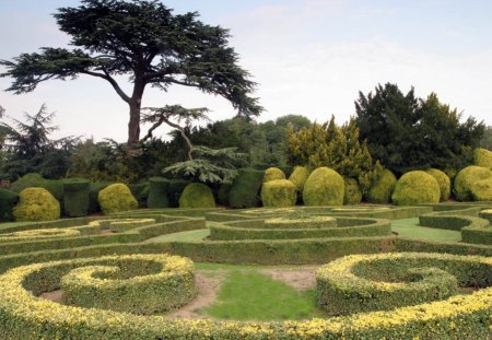 elvaston-gardens-trees - nature, sky, garden, trees