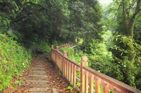 Mountain trail - lush, mountain, trail, wooden railings, fallen leaves