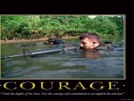 Courage