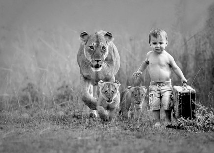 That's it, we're leaving - fun, kid, lioness, cute, travel, cubs