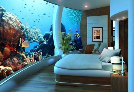 Dream Bedroom